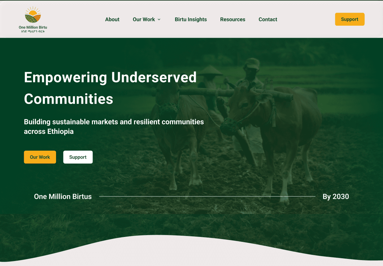 One Million Birtu Website — Full Stack Web Application by Eyosias Solomon